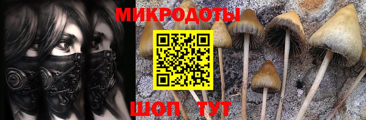 Истра  Псилоцибиновые грибы мицелий  Псилоцибиновые грибы Psilocybe  Вход с VPN 